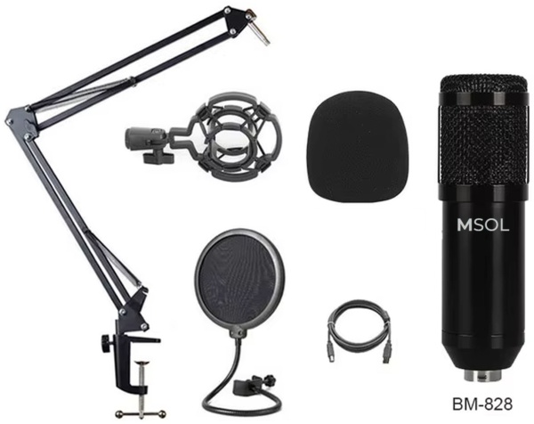 Микрофон конденсаторный MSOL BM828, USB, набор, DSP chip