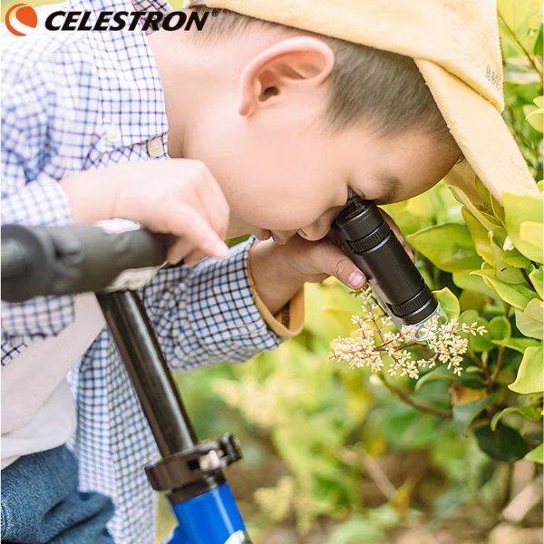 Микроскоп CELESTRON S82105, 60*120