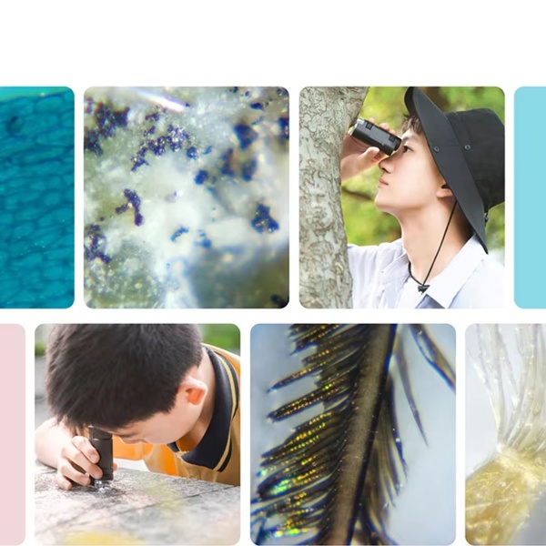 Микроскоп CELESTRON S82105, 60*120