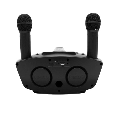 Портативная караоке-система SDRD SD-306, 2 микрофона